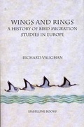Cover: Wings and Rings - Isabelline Books