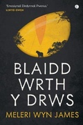 Cover: Blaidd wrth y Drws - Gomer Press
