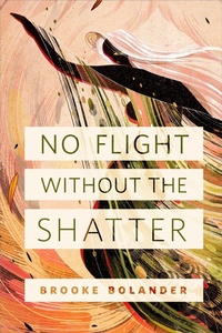 Enlarge image Cover: No Flight Without the Shatter - Tor Books