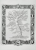 Cover: Stammbaum des Geigenbaus - Karthause-Schm&uuml;lling