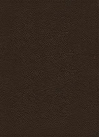 Abbildung von: NKJV, Wiersbe Study Bible, Genuine Leather, Brown, Thumb Indexed, Red Letter, Comfort Print - Thomas Nelson Publishers
