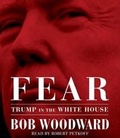 Cover: Fear - SIMON & SCHUSTER AUDIO