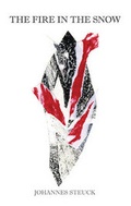 Cover: The Fire In The Snow - Anastasi Ltd