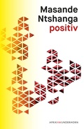 Cover: positiv - Das Wunderhorn