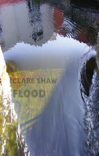 Enlarge image Cover: Flood - Bloodaxe Books Ltd