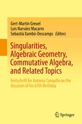 Cover: Singularities, Algebraic Geometry, Commutative Algebra, and Related Topics - Springer