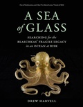 Cover: A Sea of Glass - University of California Press