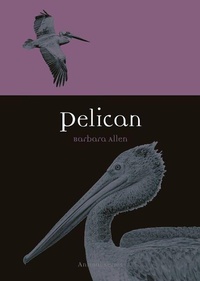 Enlarge image Cover: Pelican - Reaktion Books