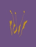 Cover: Indifferent Cresses - National Trust