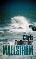 Cover: Maelstrom - Longitude Press