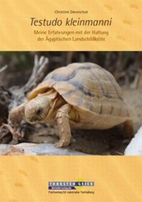 Abbildung von: Testudo kleinmanni - Kleintierverlag