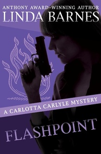 Enlarge image Cover: Flashpoint - Open Road Media Mystery & Thriller