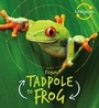 Cover: Lifecycles: Tadpole to Frog - Words & Pictures