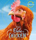 Cover: Lifecycles: Egg to Chicken - Words & Pictures