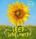 Cover: Lifecycles: Seed to Sunflower - Words & Pictures