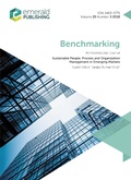 Cover: Sustainable People, Process and Organization Management in Emerging Markets - Emerald Publishing Limited