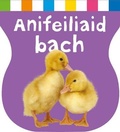 Cover: Cyfres Ysgwyd, Cnoi a Dysgu: Anifeiliaid Bach - Rily Publications Ltd