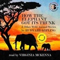 Cover: How the Elephant Got Its Trunk & Other Wild Animal Stories - Author's Republic