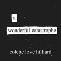 Cover: A Wonderful Catastrophe - Richard Heby