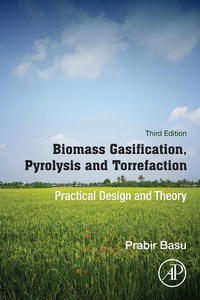 Bild vergrößern Bild: Biomass Gasification, Pyrolysis and Torrefaction - Academic Press