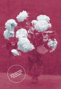 Cover: The Stefan Golaszewski Plays - The Invisible Dot Ltd