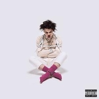 Enlarge image Cover: 21st Century Liability - Universal Music Vertrieb - A Division of Universal Music GmbH