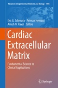 Bild: Cardiac Extracellular Matrix - Springer