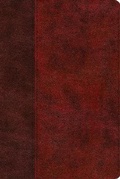 Cover: ESV Gospel Transformation Study Bible: - Crossway Books