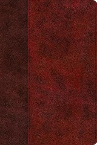 Enlarge image Cover: ESV Gospel Transformation Study Bible: - Crossway Books