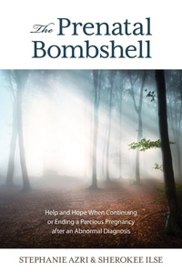 Enlarge image Cover: The Prenatal Bombshell - Rowman & Littlefield Publishers
