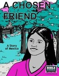 Cover: A Chosen Friend - Bible Visuals International, Incorporated