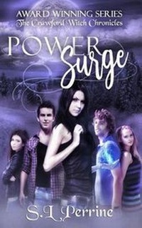 Enlarge image Cover: Power Surge - Burning Willow Press, LLC