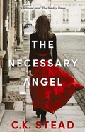 Cover: The Necessary Angel - Allen & Unwin Aotearoa New Zealand