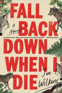 Enlarge image Cover: Fall Back Down When I Die - Little, Brown and Company