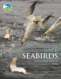 Enlarge image Cover: RSPB Seabirds - Bloomsbury Wildlife