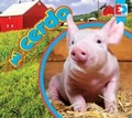Cover: Mi Cerdo - Av2