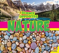 Enlarge image Cover: Environments - Av2
