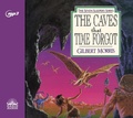 Cover: The Caves That Time Forgot - Oasis Audio