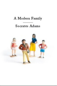 Enlarge image Cover: A Modern Family - Bluemoose Books