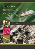 Cover: Insectes communs du Nunavut - Inhabit Media Inc
