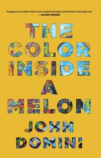 Enlarge image Cover: The Color Inside a Melon - Dzanc Books