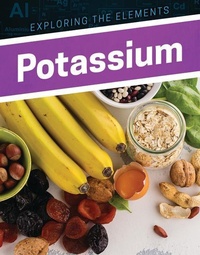 Enlarge image Cover: Potassium - Enslow Publishing