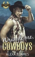 Cover: Wrangle Me, Cowboys - Speak Now