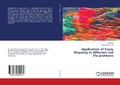 Cover: Application of Fuzzy Mapping in different real life problems - LAP Lambert Academic Publishing