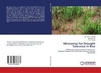 Enlarge image Cover: Microarray For Drought Tolerance In Rice - LAP Lambert Academic Publishing