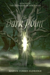 Enlarge image Cover: The Dark Point - Fourpence Press