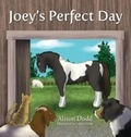 Cover: Joey's Perfect Day - Alison Dodd