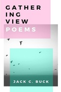 Cover: Gathering View - Punch Drunk Press Ltd.