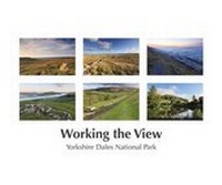 Abbildung von: Working the View - Watching Sparrows Publications