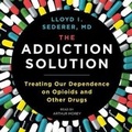 Bild: The Addiction Solution - SIMON & SCHUSTER AUDIO
